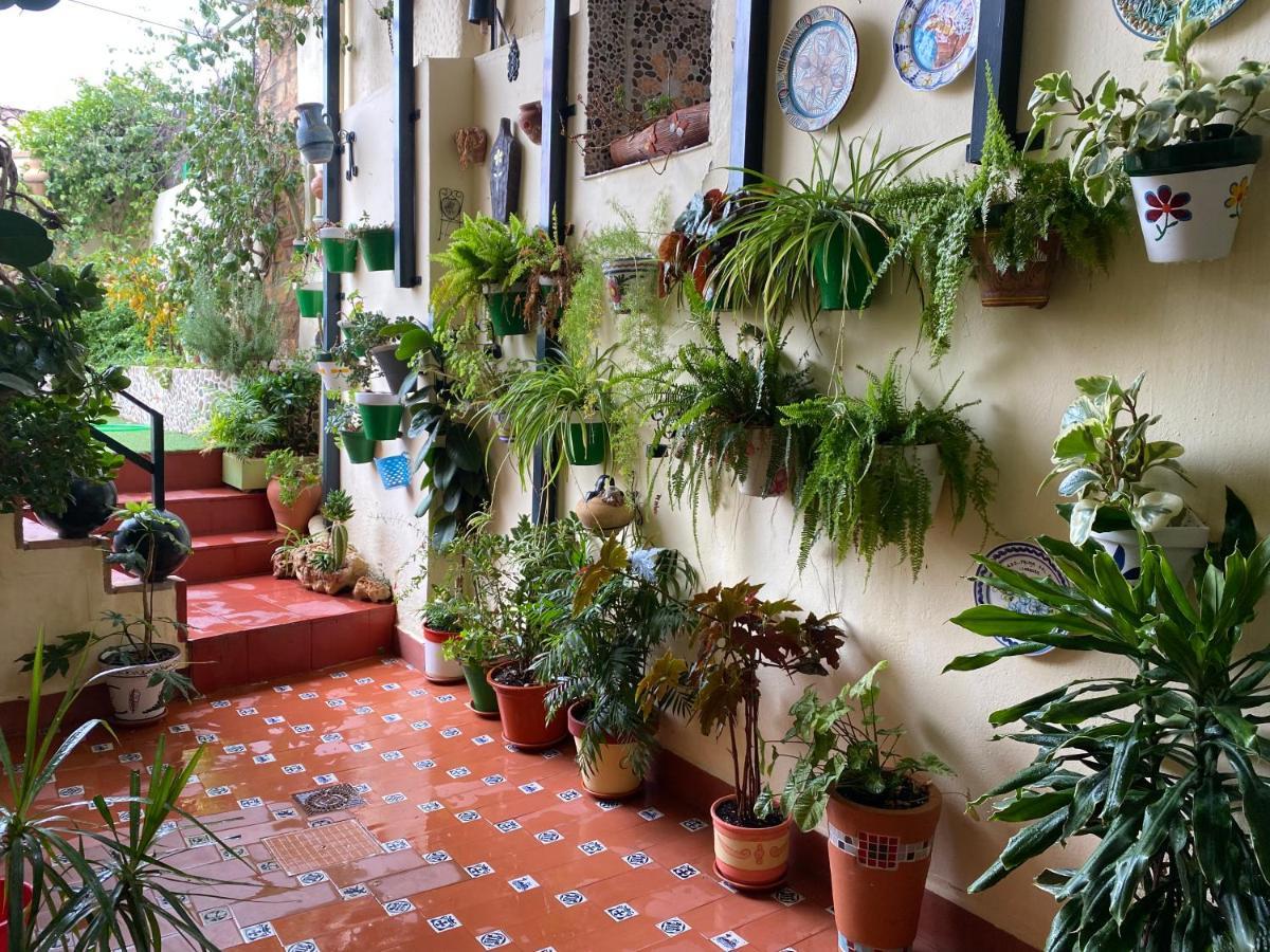 Vila Casa Pepe Hornachuelos Exteriér fotografie